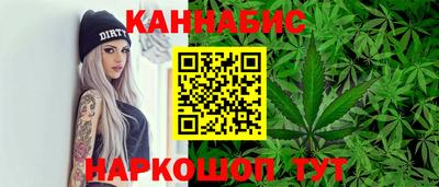 индика Можга