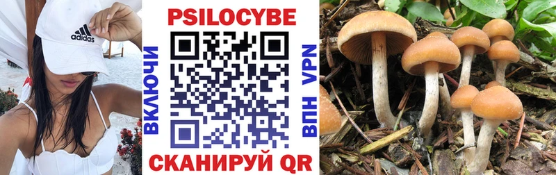 Псилоцибиновые грибы GOLDEN TEACHER  Чебоксары 