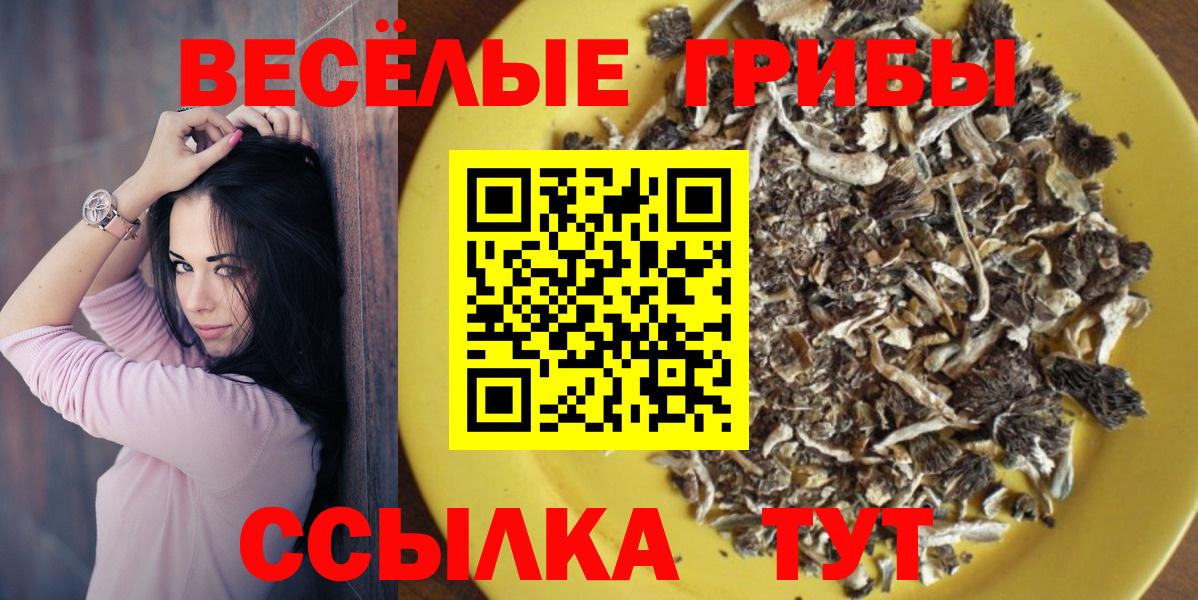 Чебоксары  Псилоцибиновые грибы мицелий  Вход с VPN 